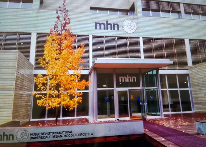 Ada Daire Santiago de Compostela